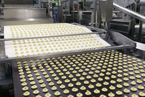 Cookies Production Line manufacturer