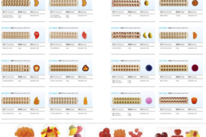 Gummy Candy Mold of Gummy Production Line