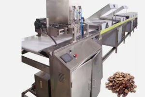 Chocolate chip machine manufacturer